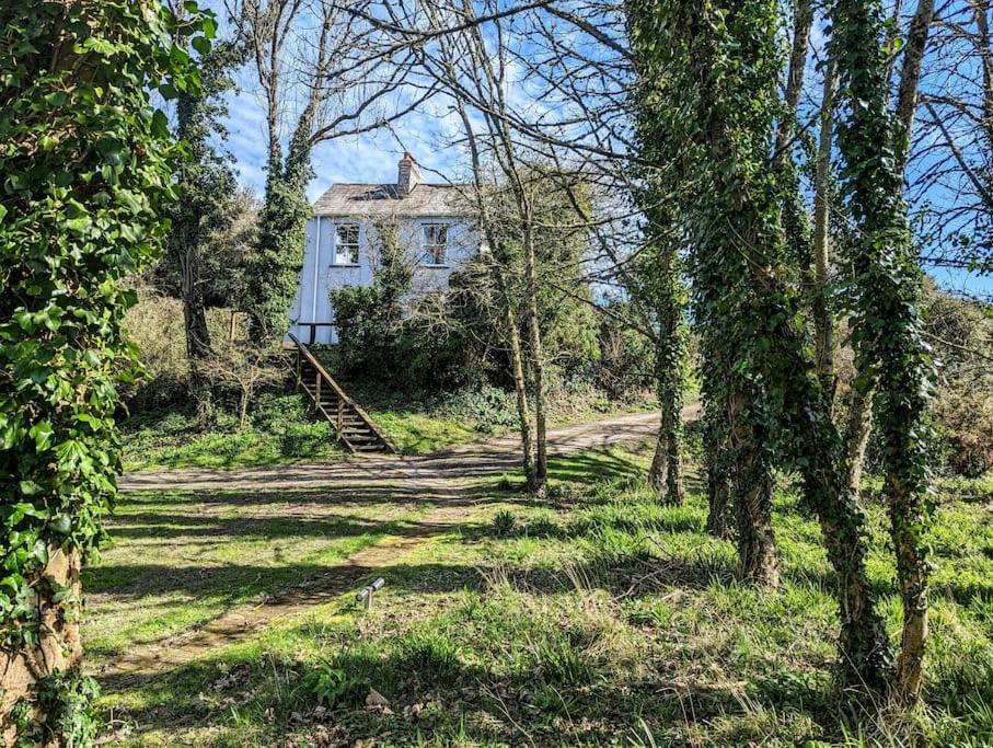 Romantic Secluded Hideaway Cottage In Cornwall Truro Esterno foto